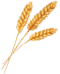 Spannmålet